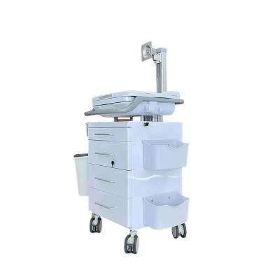 Xe kiểm tra thông tin sang trọng